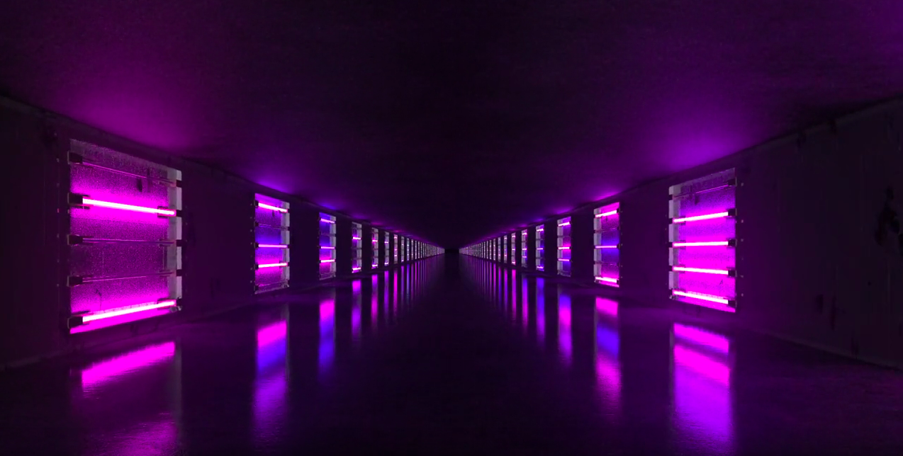 Dubai The Capital of Arab Media